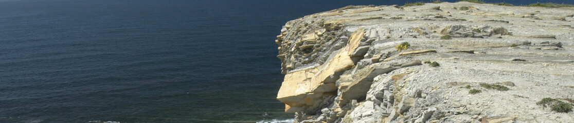 La falaise flysch calcaire de Socoa 