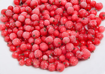 frozen red currant
