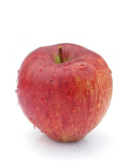 Apple red perfect with water drops isolated