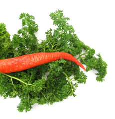 Parsley and paprika isolated