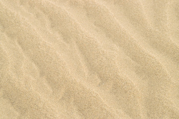 Fototapeta na wymiar Sand ripples