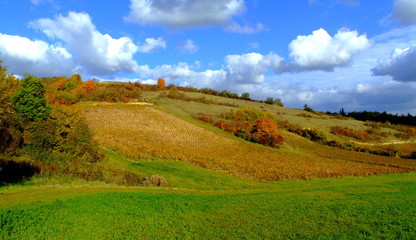 paysage Bourguignon