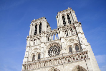 Fototapeta na wymiar Cathédrale Notre Dame - Paris
