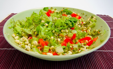 a close-up of fresh green sald with mungo