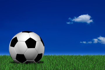 Naklejka premium Soccer Ball