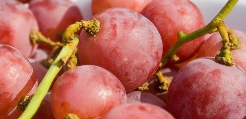 Red Grapes