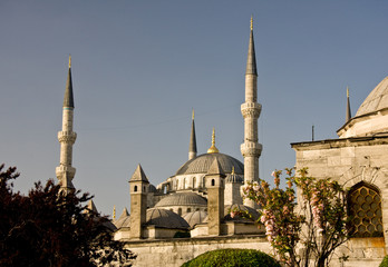 Fototapeta na wymiar Blue Mosque 8