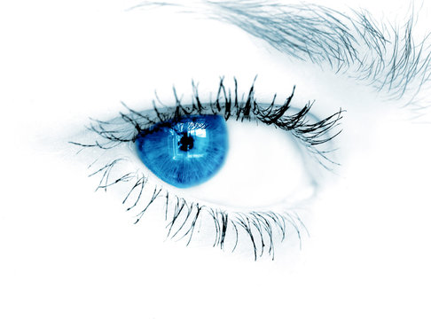Closeup shot of blue eye on white background