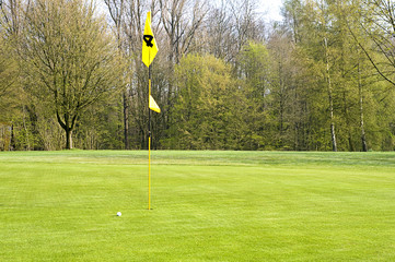 Obraz premium Golfen