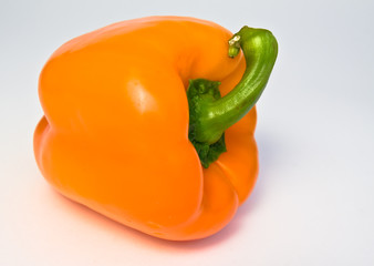 pepper on white background