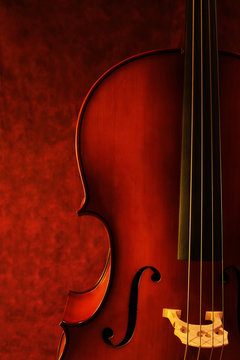 Cello