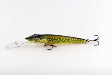 bait
