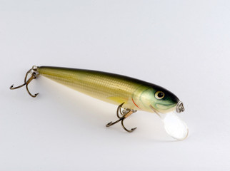 bait