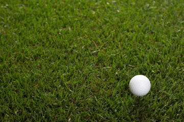 single golf ball