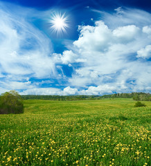 field