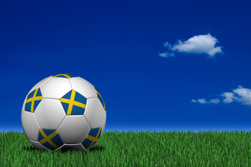 Fototapeta premium Swedish soccer ball