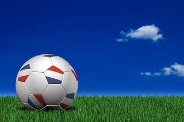 Fototapeta premium Dutch soccer ball