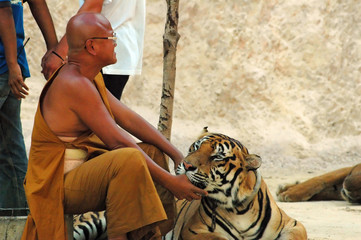 Obraz premium Tiger Temple, Kanchanaburi Thailand