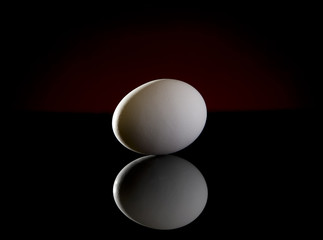 Egg Low Key on Red