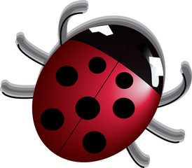 Obraz premium Red ladybug / coccinelle