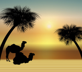Camels at Sunrise