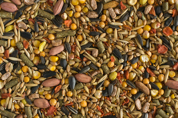 Hamster fodder texture