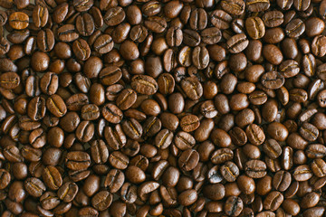 Coffee beans texture