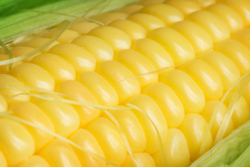 Corn cob