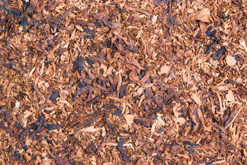 cuts of dried tobacco