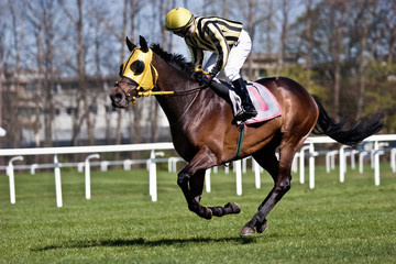Horse racing