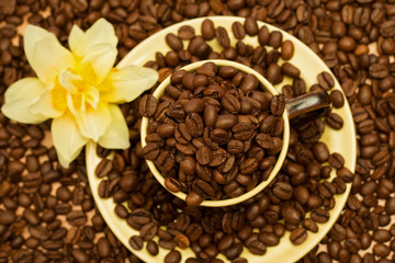 Coffee cup with beans - top view