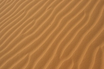 Fototapeta na wymiar Desert Sand