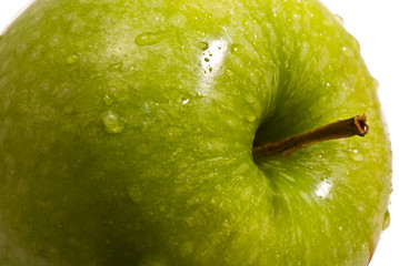 green apple macro