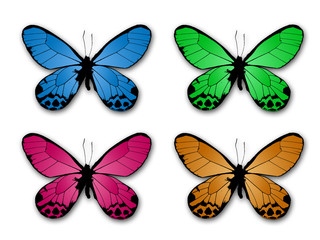 Obraz na płótnie Canvas Colored Butterflies