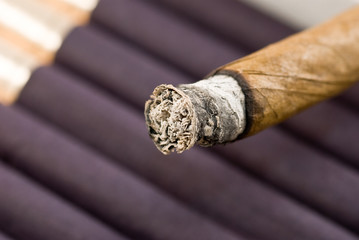 cigar ash