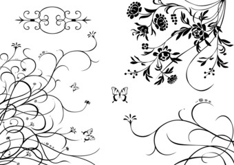 Some vegetative ornaments