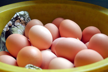 eggs in bowl