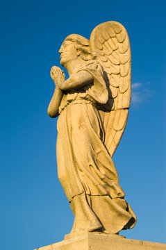 Angel