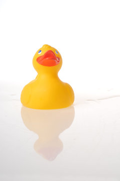 canard