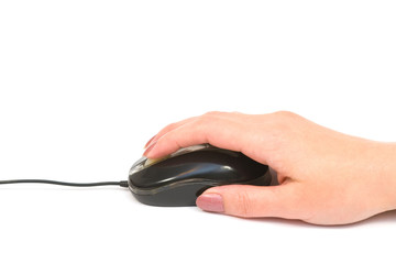 mouse in hand
