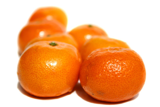 Tangerine line