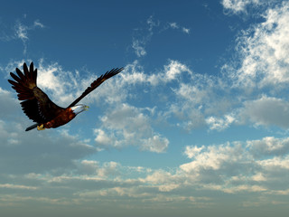 Eagle