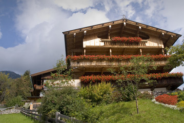 blumenbalkon