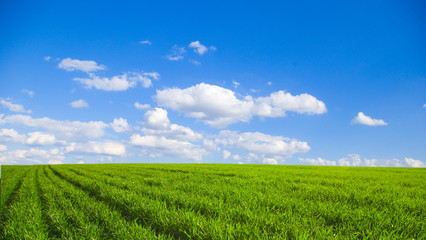 field and clouds