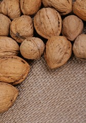 walnuts
