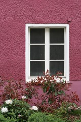 Fototapeta na wymiar Biała rama okienna w kolorze fioletowym domu z przednim ogród