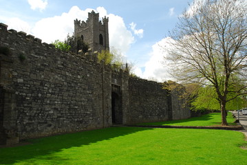 Dublin City Wall(1240 A.D), St Audoens Church