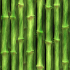 Naklejka premium bamboo shoots