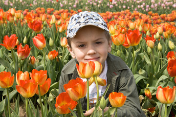Cute smiling boy in tulips