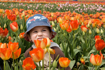 Little toddler boy in tulips